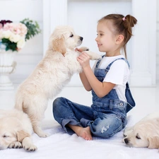 girl, puppies, Golden Retrievery, Three