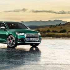 green ones, Audi Q5 TFSI Quattro