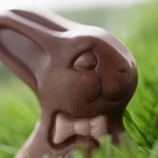 chocolate, rabbit