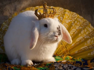 Rabbit, Crown