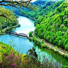 woods, bridge, railway, River