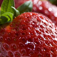 strawberries, rapprochement