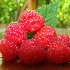 Raspberries