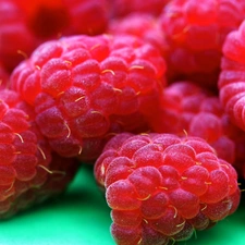 raspberries