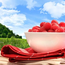 bowl, raspberries