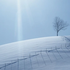 trees, snow, rays, sun, Fance, drifts