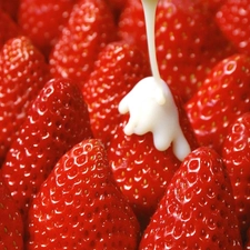 Red, strawberries, icing