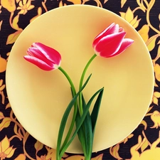 Tulips, Two cars, Red