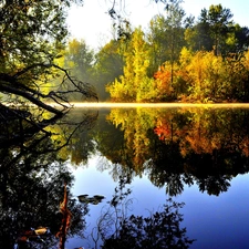autumn, forest, reflection, lake