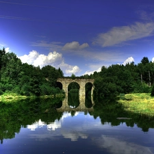 bridge, water, reflection, forest