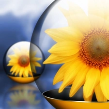 Colourfull Flowers, plate, reflection, sunflower