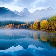 reflection, Fog, lake, forest, Mountains