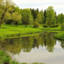 reflection, Park, viewes, Spring, trees, Pond - car