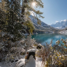 viewes, snow, Russia, Szawlinskie Lake, Altai Republic, trees, winter, Altai Mountains