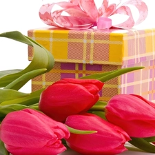 ribbon, Tulips, Box