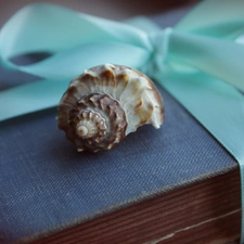 Old, shell, ribbon, Book