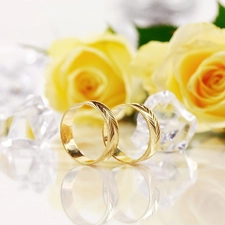 rings, roses, Golden