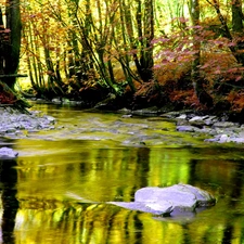 autumn, River