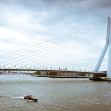 Erasmus Bridge, Netherlands, River, rotterdam