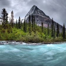 River, forest, mountains