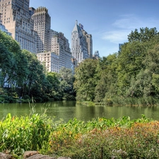Central Park, skyscrapers, River, New York
