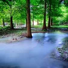 Spring, spilled, River, forest