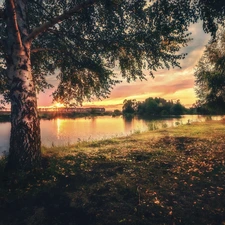 trees, Great Sunsets, birch-tree, clouds, viewes, River