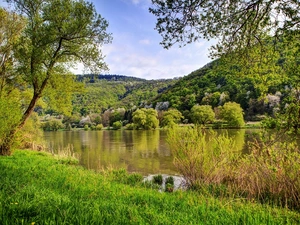 summer, woods, River, The Hills