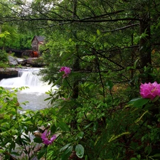 River, vegetation, water, waterfall, Windmill