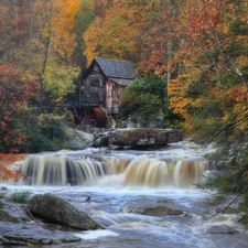 River, Windmill, trees, viewes, autumn