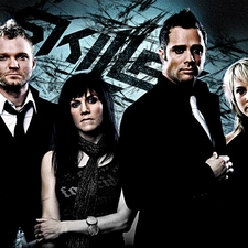 Skillet, music, rock, Team