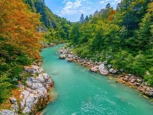 rocks, Triglav National Park, trees, River Sochi, Slovenia, autumn, viewes