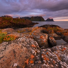 rocks, VEGETATION, Senja Island, North Sea, autumn, Lighthouse, Norway