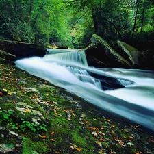 forest, waterfall, rocks, River