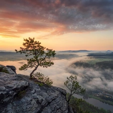 Rocks, Mountains, trees, pine, Sunrise, clouds, Houses, Fog, River