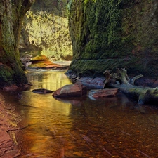 rocks, Scotland, withered, trunk, Carnock Burn River, Finnich Glen