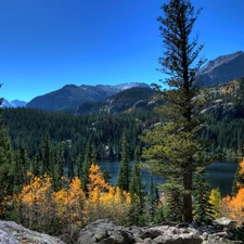 rocks, lake, Spruces