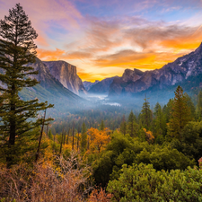 Fog, autumn, trees, California, viewes, Yosemite National Park, rocks, The United States, Mountains, Bush