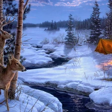 deer, forest, Tent, brook, winter, doe, fire