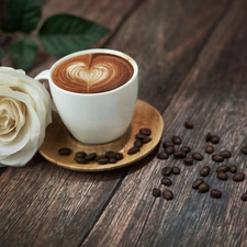 coffee, White, rose, cup