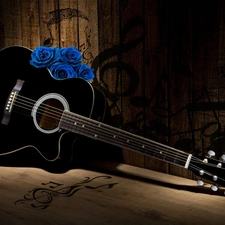 Guitar, rose