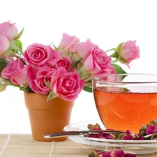 rose, roses, tea