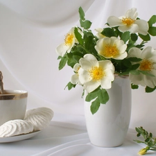 Wild, White, composition, Bouquet of Flowers, rose, china