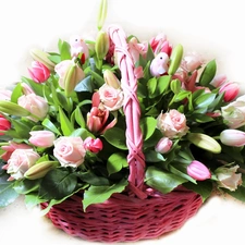 roses, basket, Tulips