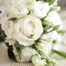 roses, bouquet, White