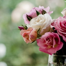 rouge, bouquet, pink