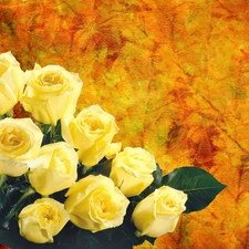 rouge, bouquet, yellow