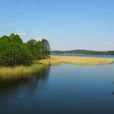 rushes, Spring, lake