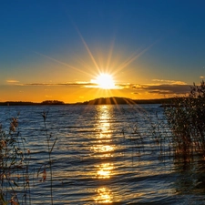 west, lake, rushes, sun