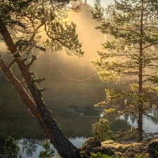 Stones, viewes, Karelia, website, trees, Lake Ladoga, Russia
